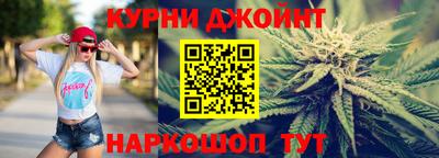 сатива Краснознаменск