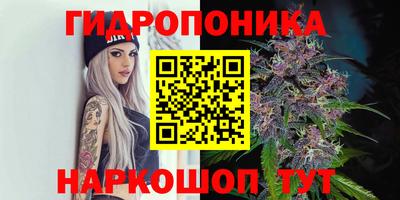 сатива Краснознаменск