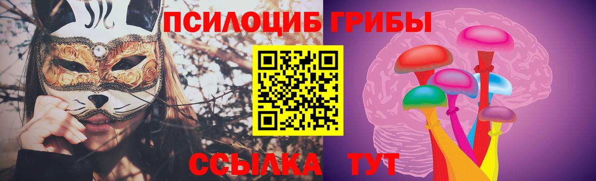 Галлюциногенные грибы прущие грибы Кизилюрт